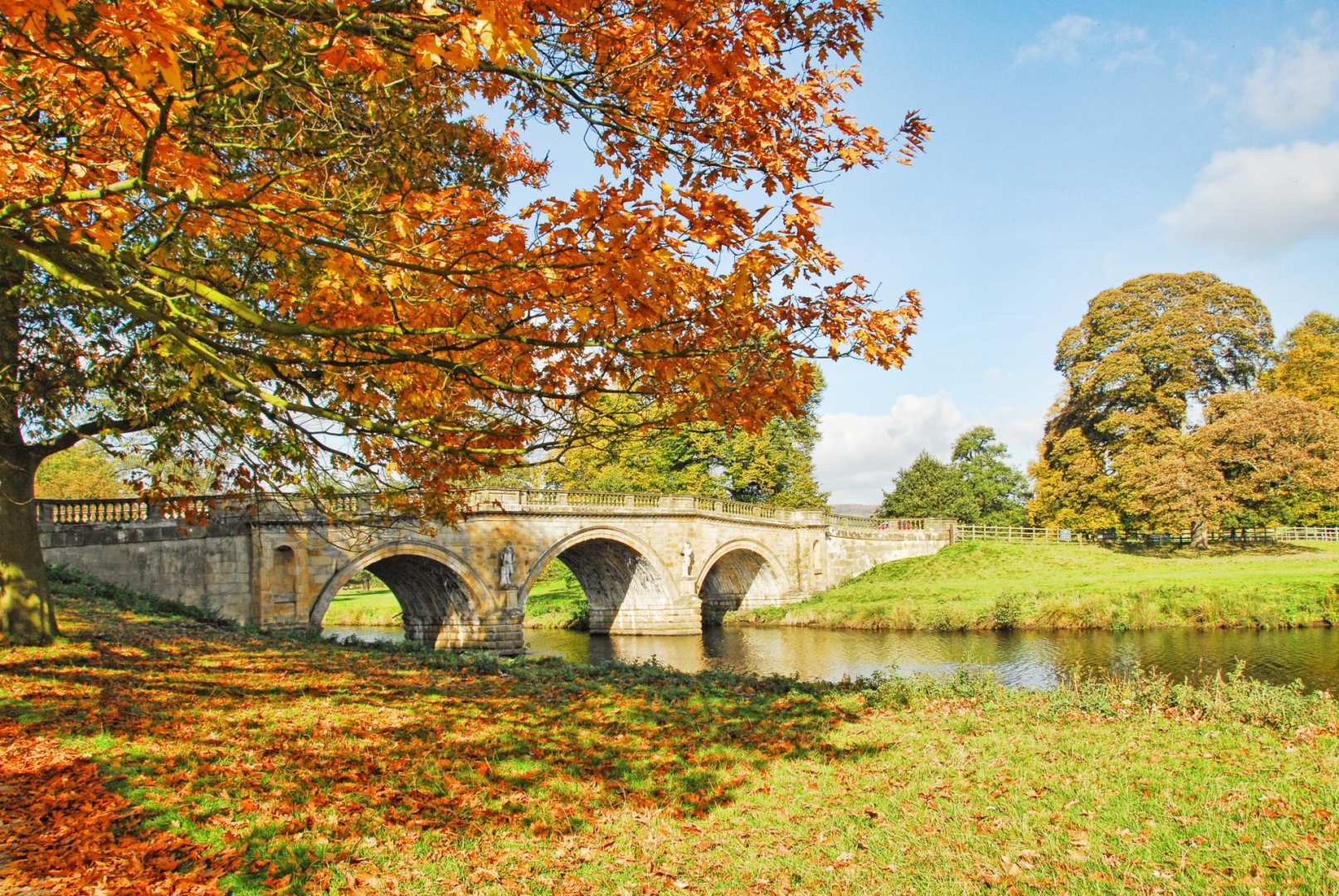 Autumn Banner 2